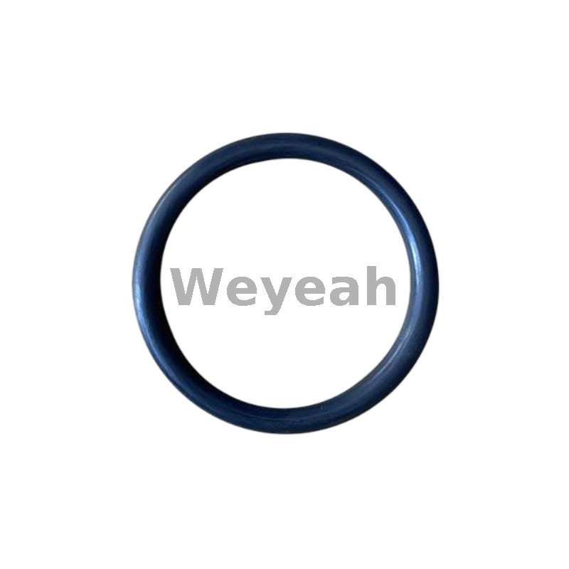 Round Sealing Ring 12523253 for MWM TCG2020 Gas Engine 