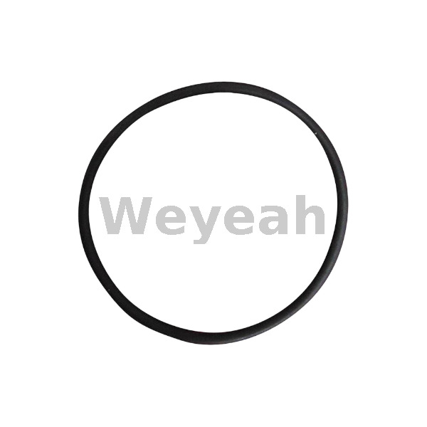 Jenbacher 376510 O-ring for Jenbacher Gas Engine