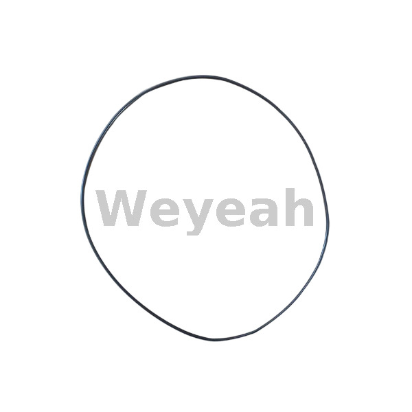 O-ring 376469 for Jenbacher Gas Engine
