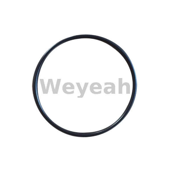 O-Ring 301384 for Jenbacher Engines Type 4