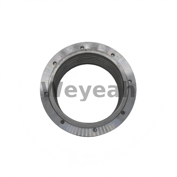 Compensator 12453254 for MWM Gas Engine TCG2020 
