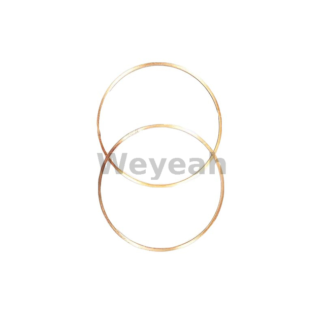 Ring Gasket 12032893 for MWM TCG2020 Gas Engine And Deutz TBD620