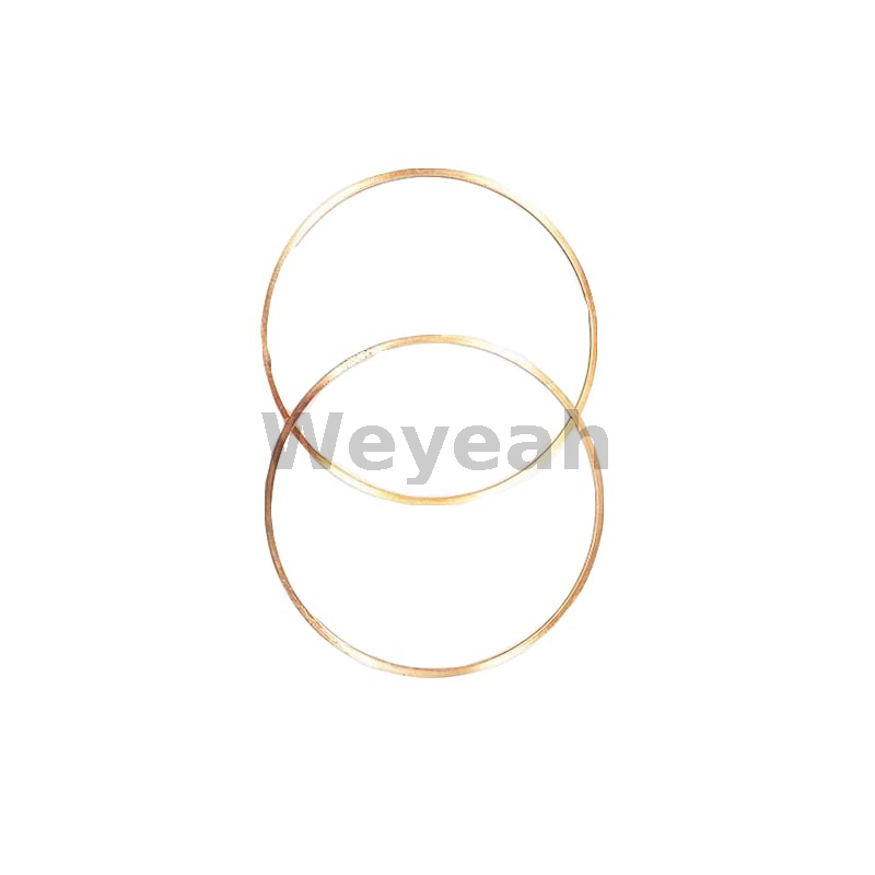 Ring Gasket 12032893 for MWM TCG2020 Gas Engine And Deutz TBD620