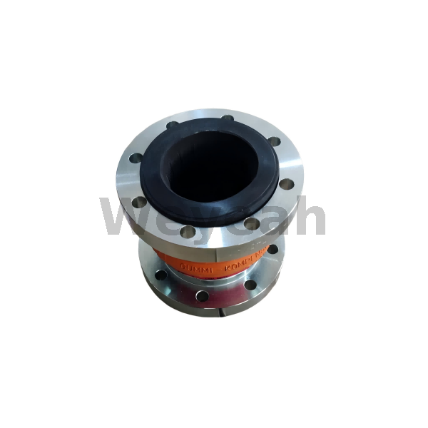 Compensator 12453853 for MWM TCG2020 Gas Engine