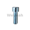 Cylinder Screw 101249 for Jenbacher J320 Gas Engine