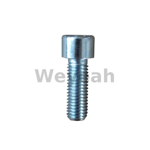 Cylinder Screw 101249 for Jenbacher J320 Gas Engine