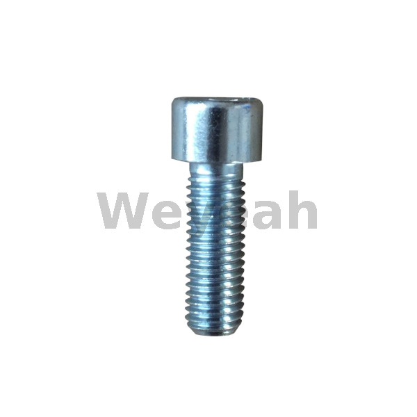 Cylinder Screw 101249 for Jenbacher J320 Gas Engine