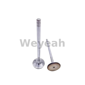MWM 12304754 inlet valve for TBG620 TCG2020 gas engine
