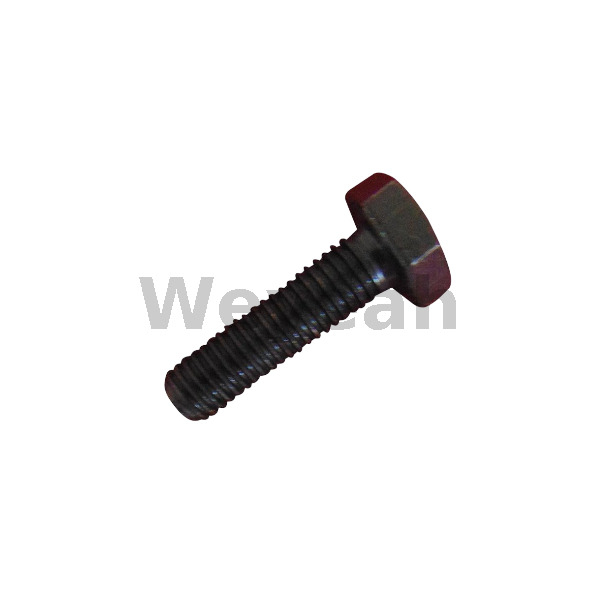 Hexagonal Head Screw 100475 for Jenbacher Engines Type 6