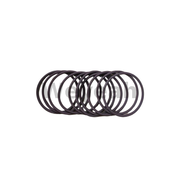 Jenbacher 456732 O-ring for Jenbacher Gas Engine
