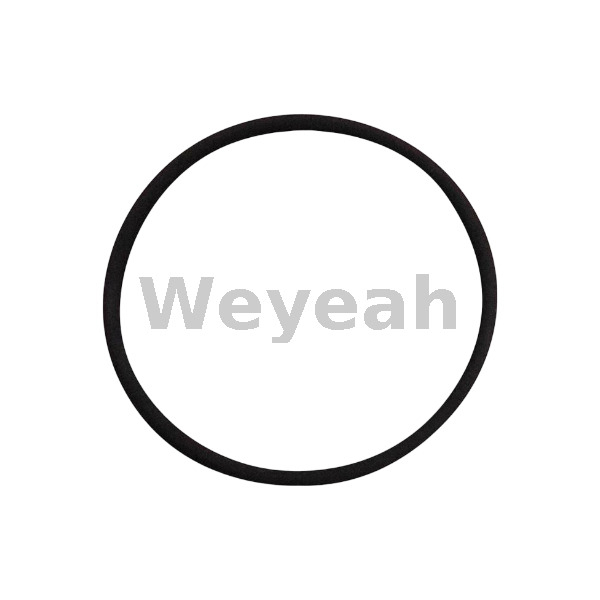 Jenbacher 376507 O-ring for Jenbacher Gas Engine