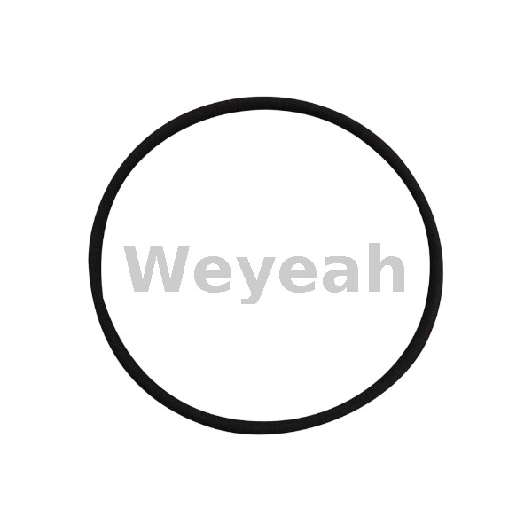 O-Ring 229981 for Jenbacher J420 Gas Engine