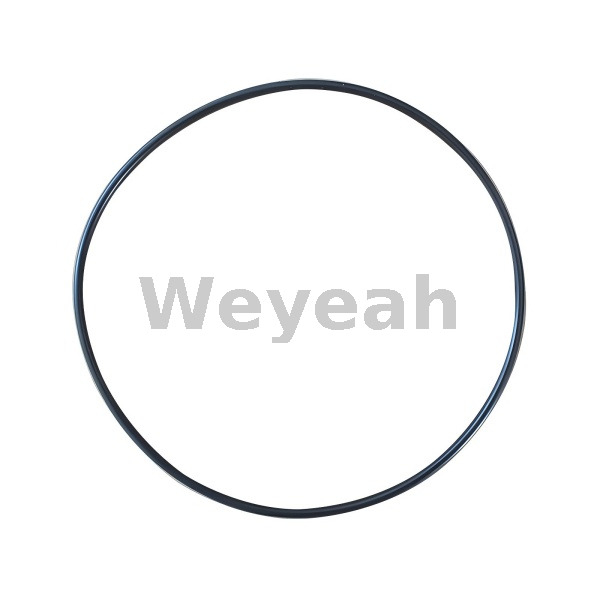 O Ring 348964 for Jenbacher J420 Gas Engine