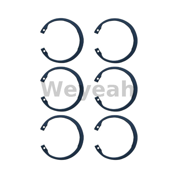 Snap Ring 102312 for Jenbacher Gas Engine