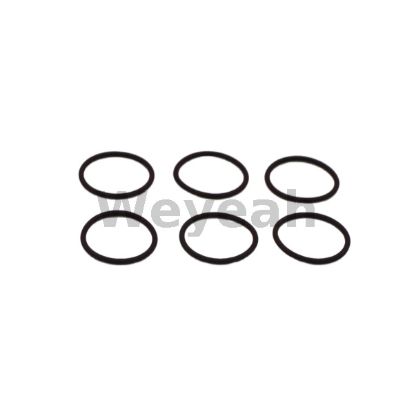 Sealing Ring 100829 for Jenbacher Gas Engine