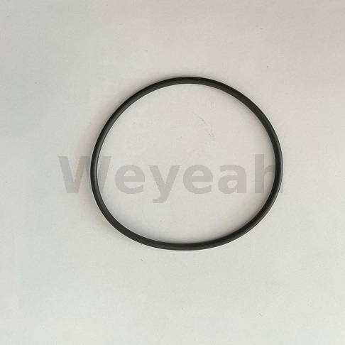 O-ring 100021 for Jenbacher gas engine