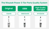 //ijrorwxhrkjjll5q.leadongcdn.com/cloud/pmBpjKiiljSRmlookniiio/weyeah-power-3-tier-original-oem-alternative-parts-system.webp