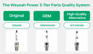 weyeah-power-3-tier-original-oem-alternative-parts-system.webp